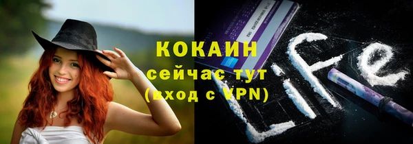 дмт Алексеевка