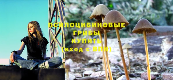 дмт Алексеевка