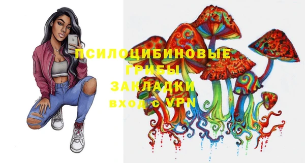 тгк Алзамай