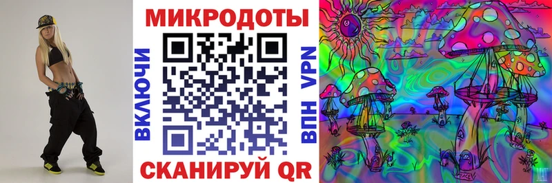 Галлюциногенные грибы Psilocybe Томмот